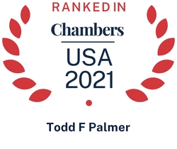 Chambers USA 2021 - Palmer